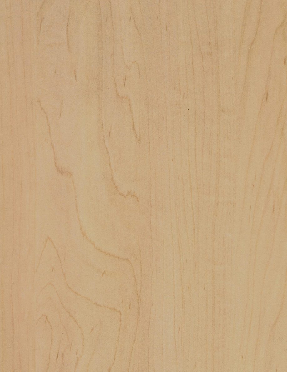 Curly Maple