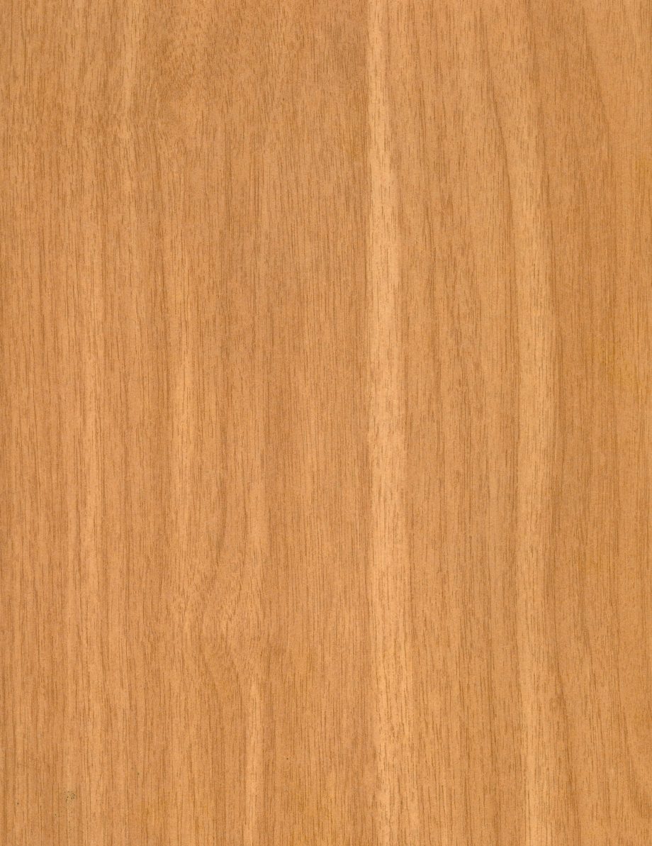European Ash