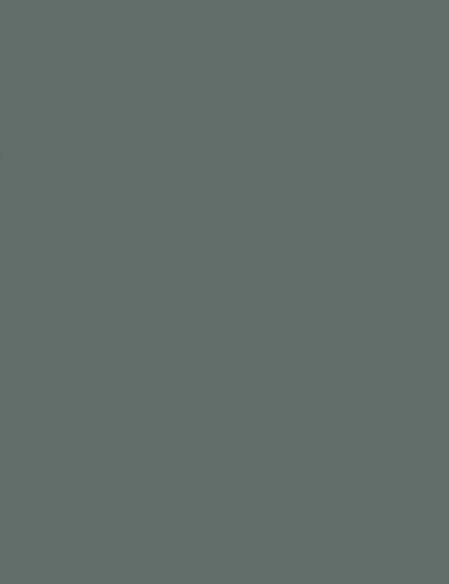 AAM1216